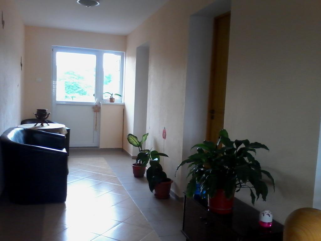 Casa Teo Ξενοδοχείο Ocna Sibiului Δωμάτιο φωτογραφία